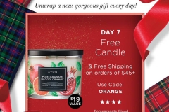 avon-coupon-code-orange-7