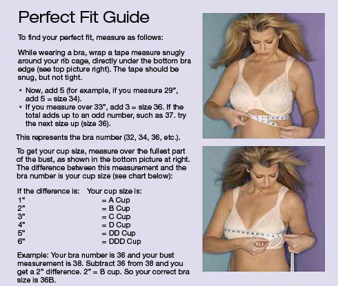 Bra Fitting Size Chart